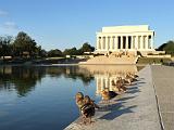 Washington DC 004